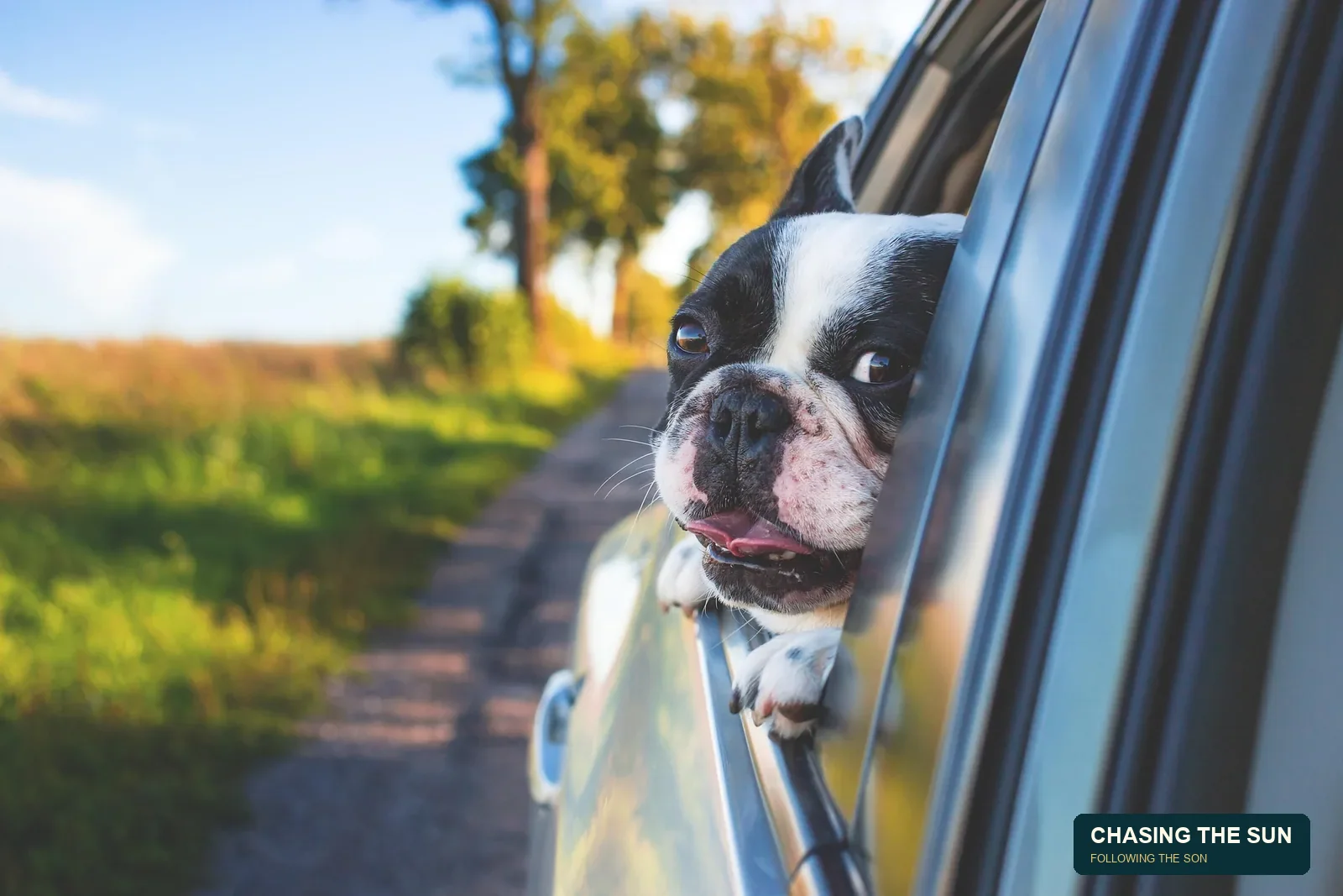Road Trip Packing List: 15 Essentials for Hotel, RVs, and Tent Camping • photograph 6