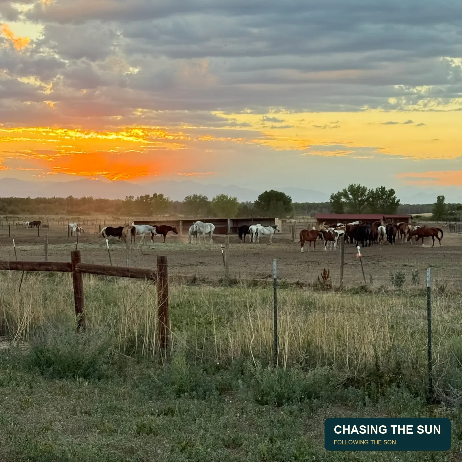 When Plans Change: Learning to Pivot and Follow a Different Road • photograph 5